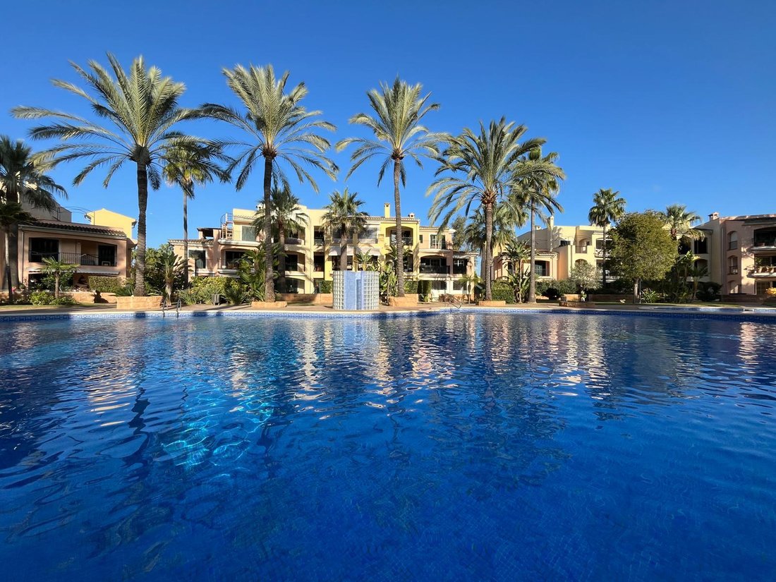 Apartment in Santa Ponsa, Balearic Islands, Spain 1 - 17474794