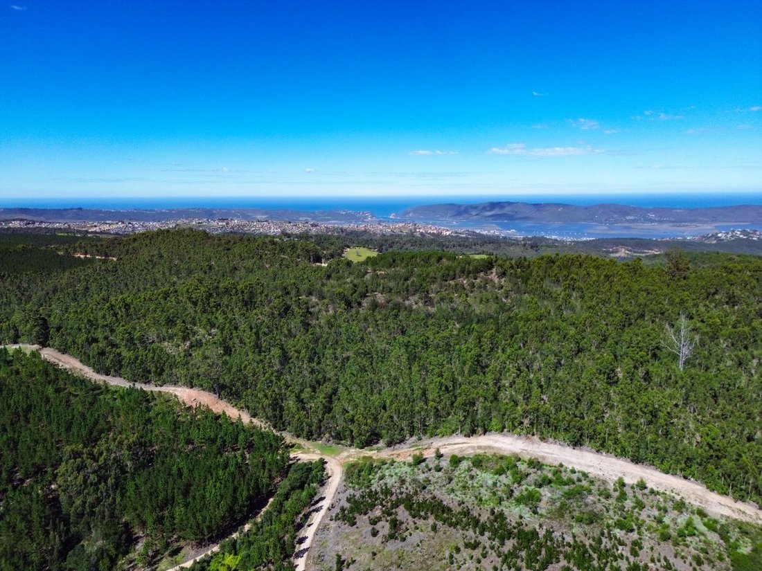 Farm Ranch in Knysna, Western Cape, South Africa 2 - 17470912
