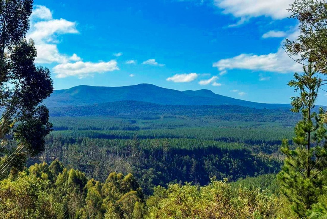 Farm Ranch in Knysna, Western Cape, South Africa 5 - 17470912