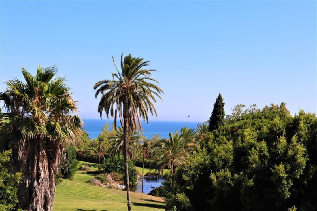 Apartment in Estepona, Andalusia, Spain 1 - 17471666