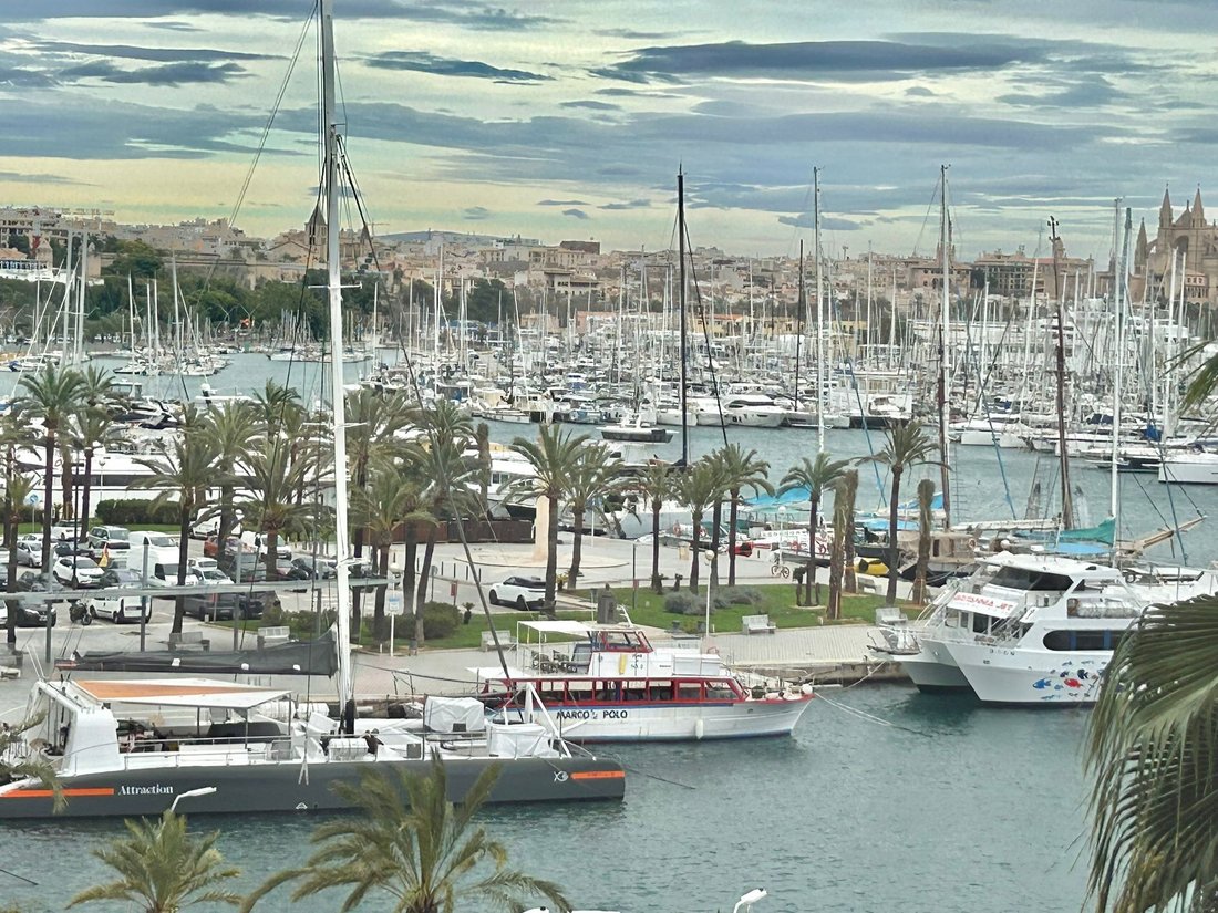 Wohnung in Palma, Balearische Inseln, Spanien 3 - 17474738