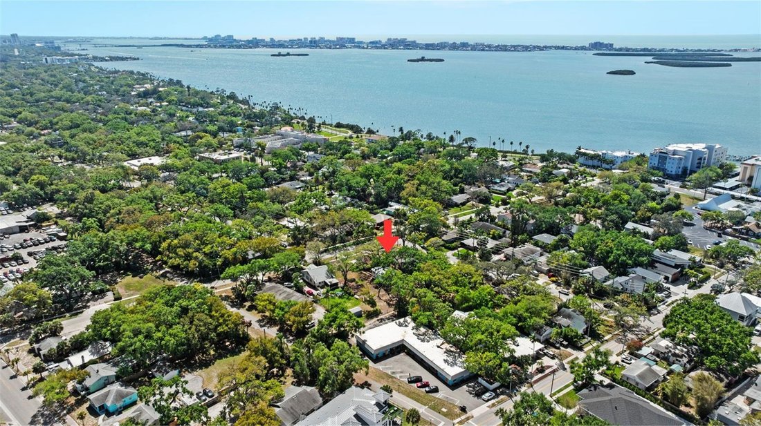 House in Dunedin, Florida, United States 3 - 17470797