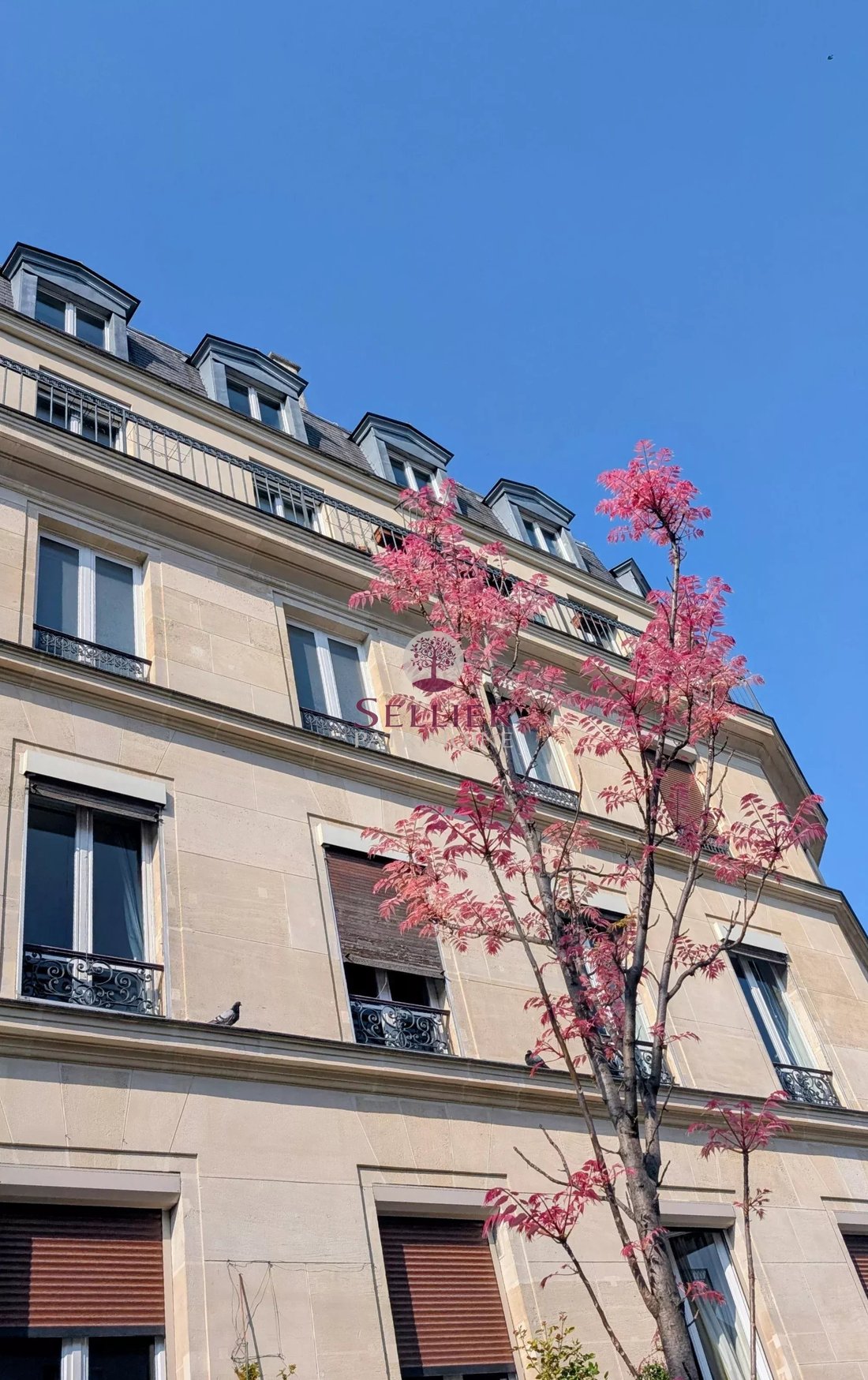 House in Jardin des Plantes, Paris 5e Arrondissement, Paris 1 - 16810675