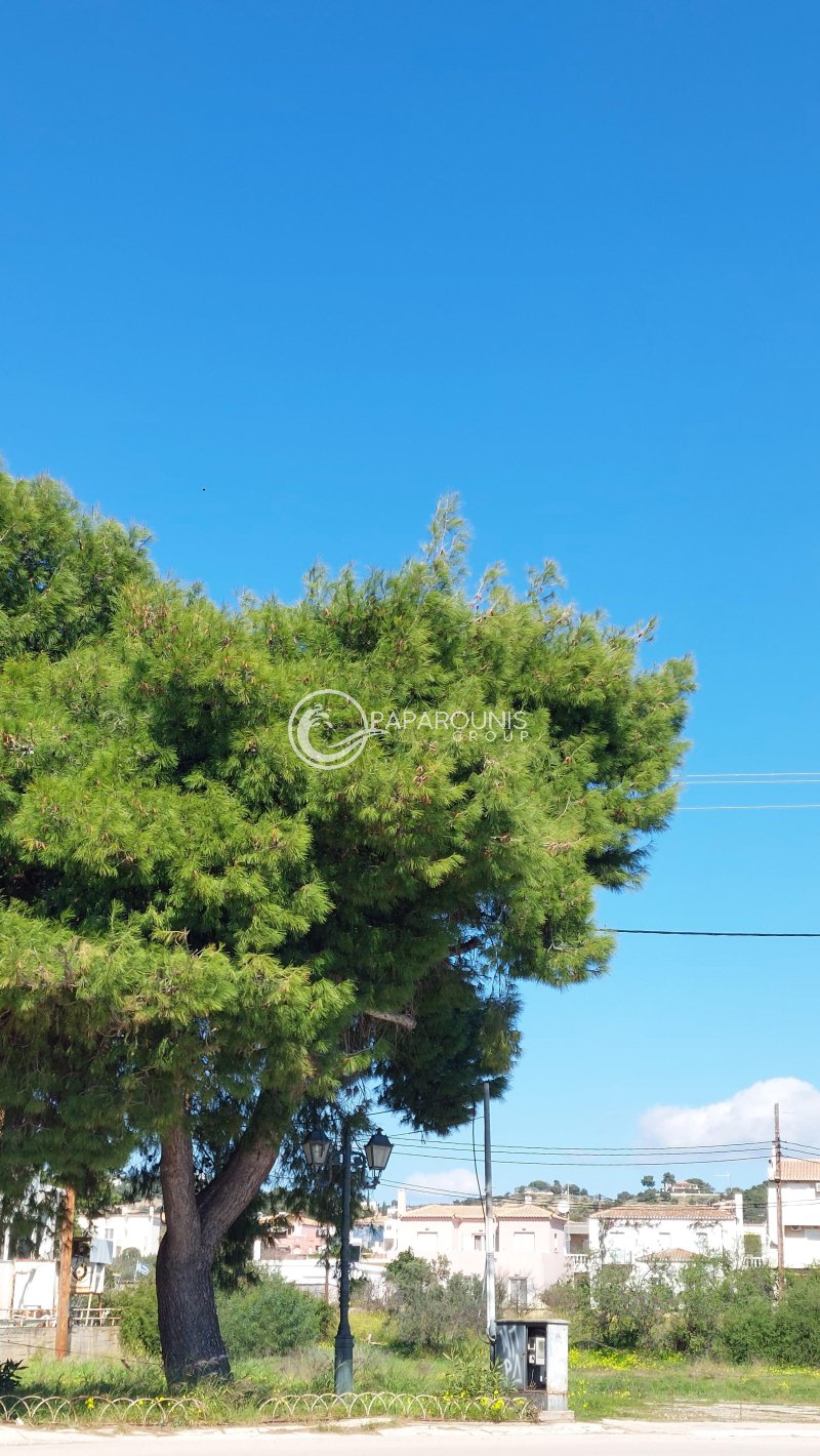 Land in Koinotita Portoxeliou, Kranidi, Greece 4 - 17472041