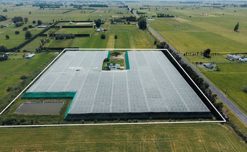 Azienda agricola a Otakiri, Baia dell'Abbondanza, Nuova Zelanda 1