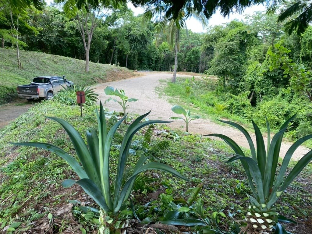 Land in Ostional, Guanacaste Province, Costa Rica 3 - 17474525