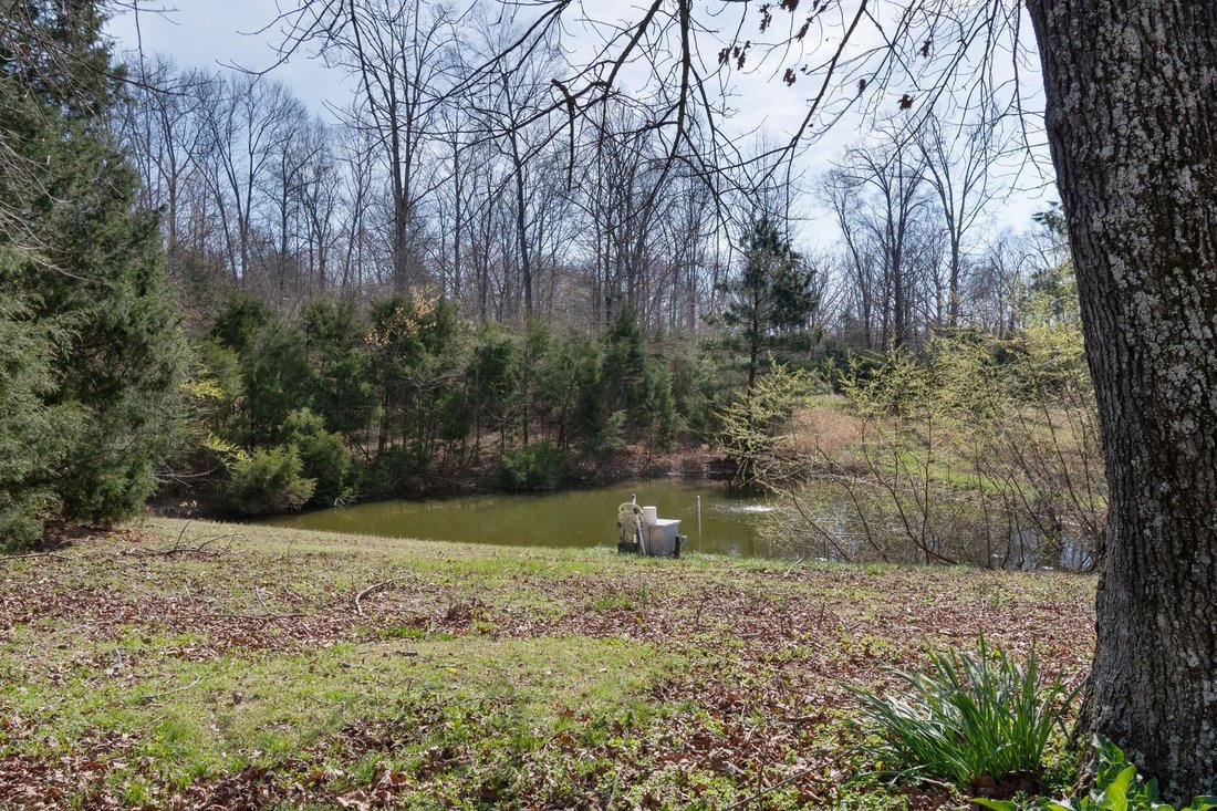 Duck River, Tennessee, United States 2 - 17473108
