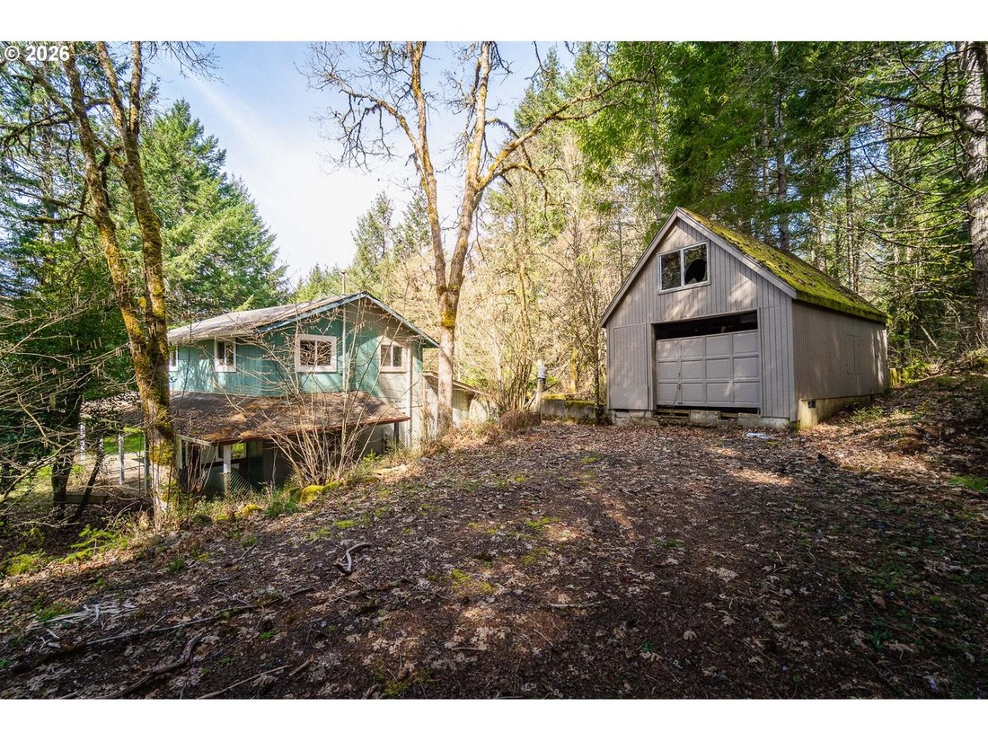 House in Elmira, Oregon, United States 4 - 17472765