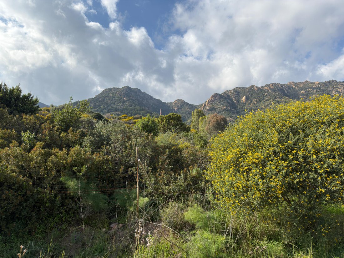 Land in Pula, Sardinia, Italy 5 - 17474501