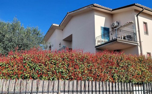 Villa in Manciano, Tuscany, Italy 1