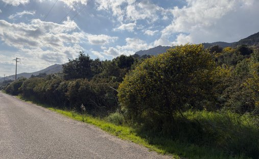 Terreno a Pula, Sardegna, Italia 1
