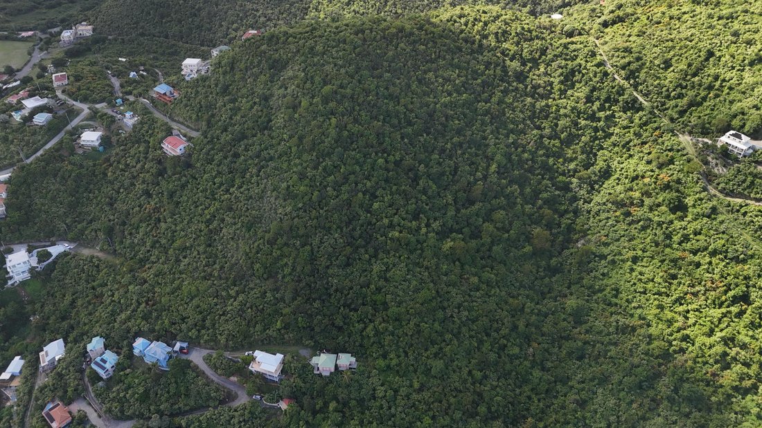 Land in Coral Bay, St. John, U.S. Virgin Islands 4 - 17475096