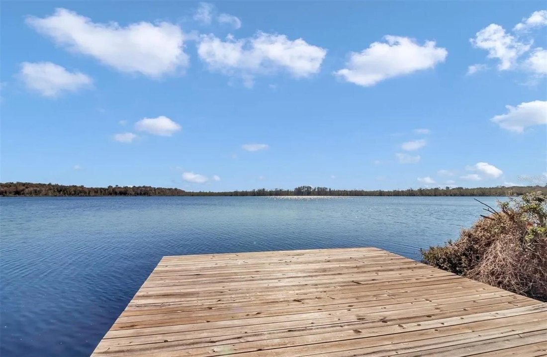 Land in Silver Springs, Florida, Vereinigte Staaten 3 - 17475090