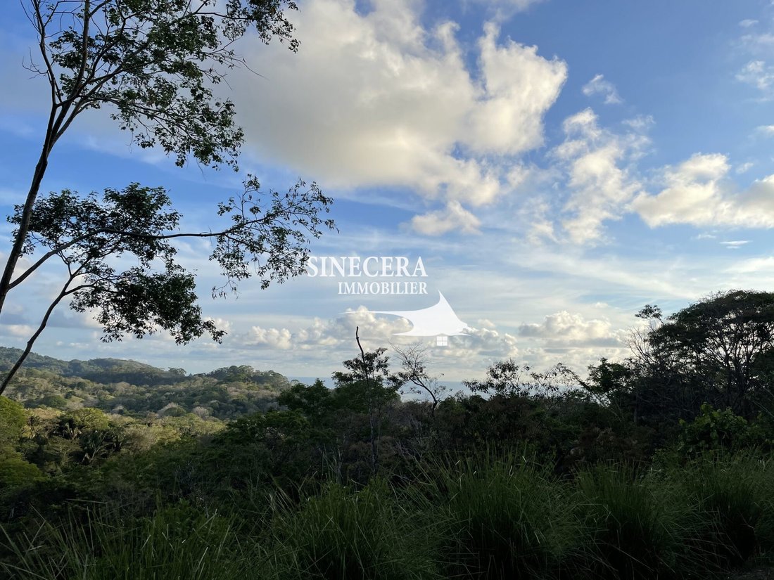 Land in Carmen Beach, Puntarenas Province, Costa Rica 5 - 17475661