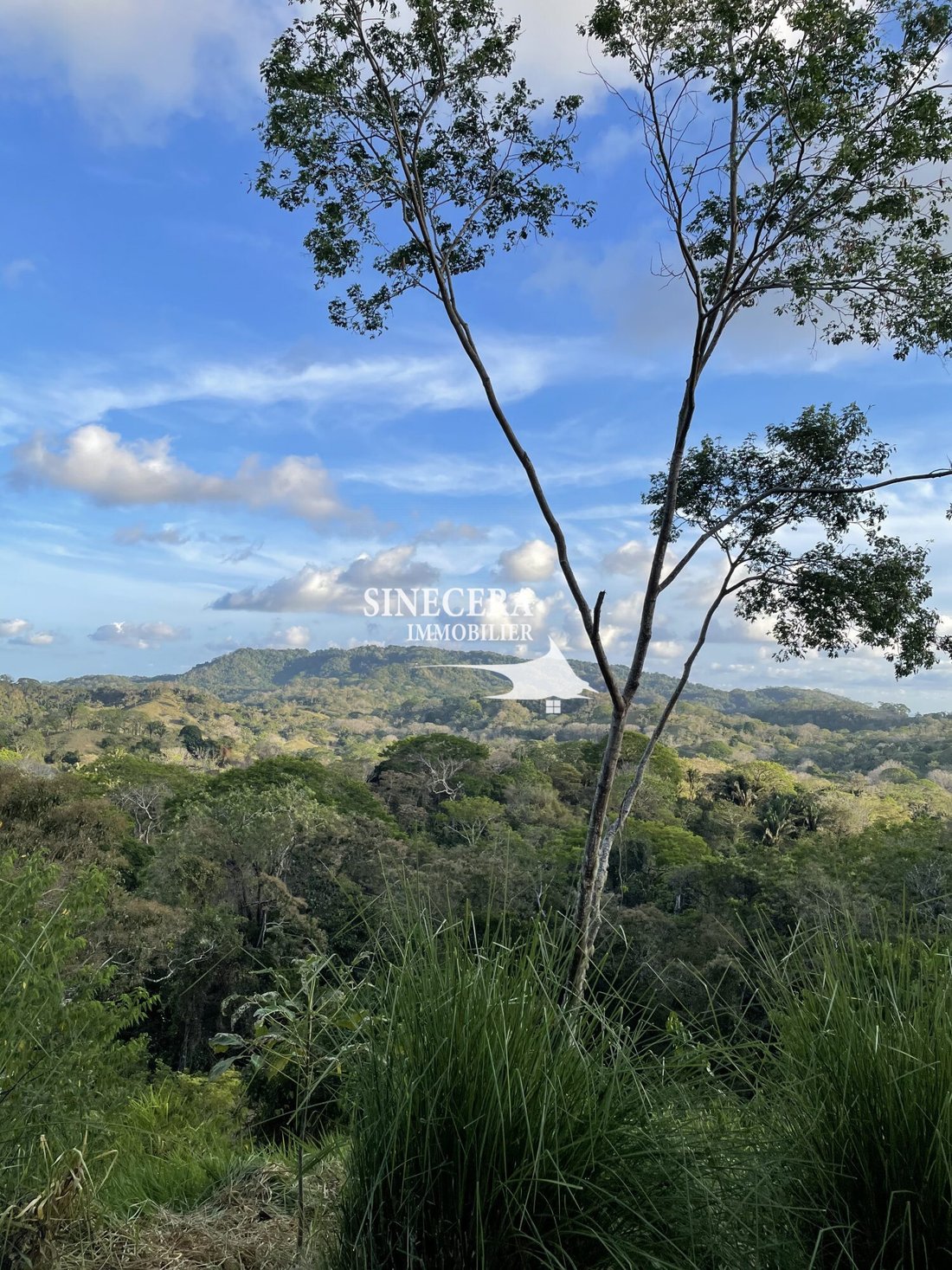Land in Carmen Beach, Puntarenas Province, Costa Rica 3 - 17475661