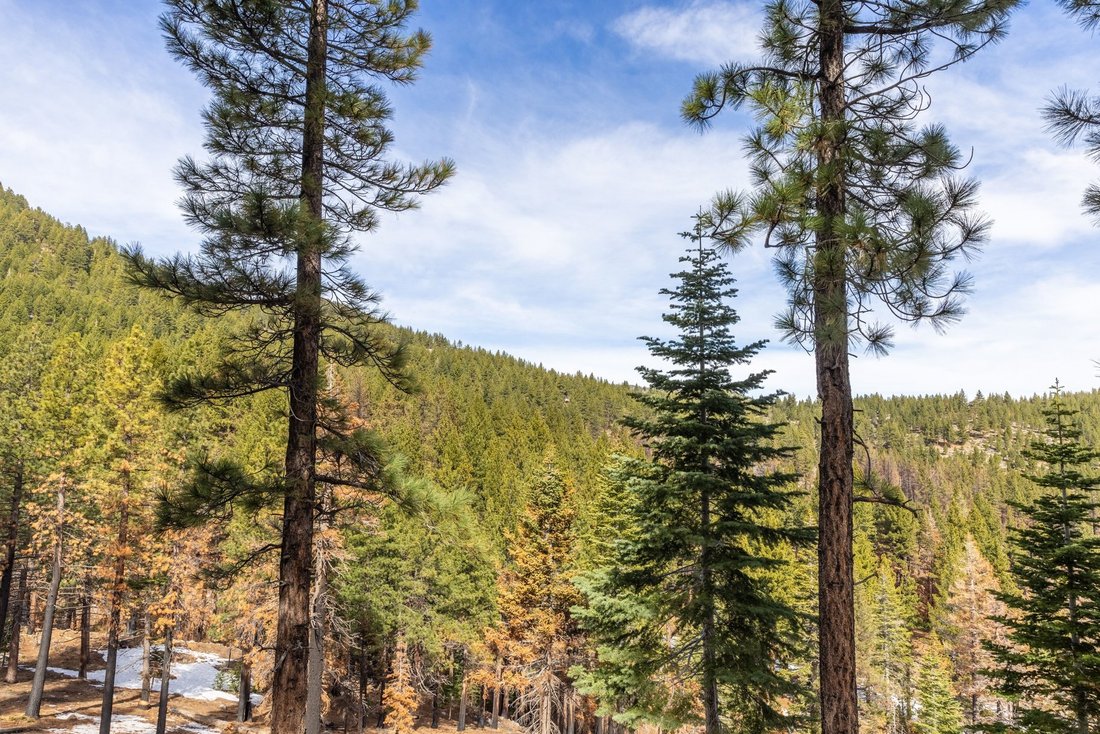 Land in Reno, Nevada, United States 5 - 14951094
