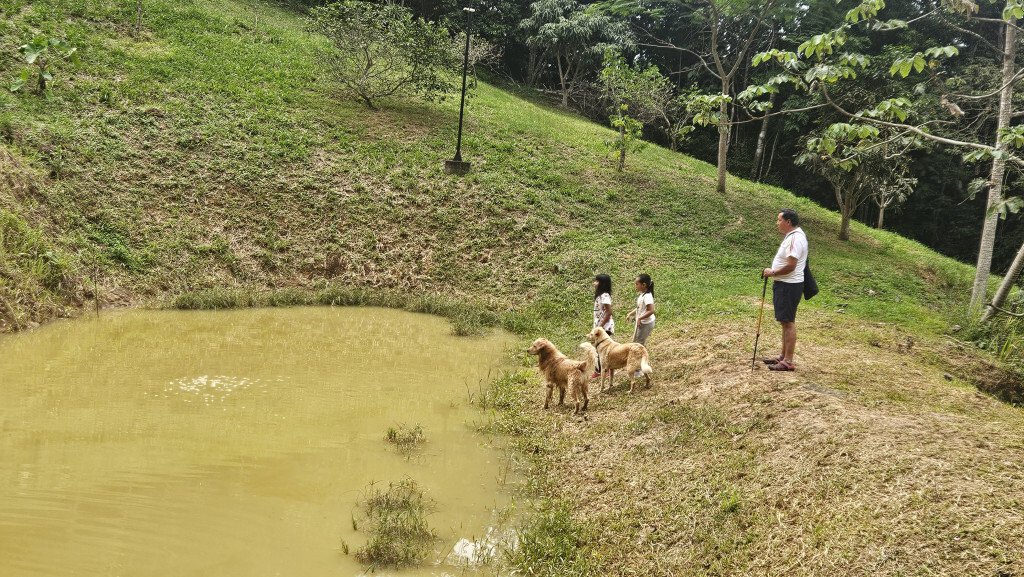 Finca in San Juan De Rio Seco, San Juan de Río Seco, Colombia 4 - 17476082