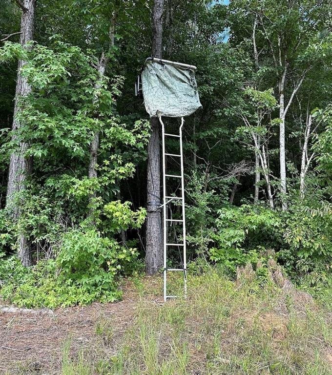 Land in Newnan, Georgia, United States 5 - 17476003