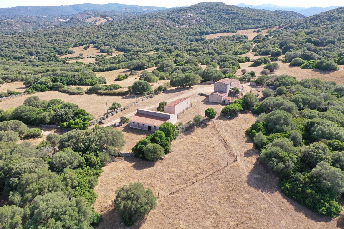 Farm Ranch in Trinita d'Agultu e Vignola, Sardinia, Italy 3 - 17429898