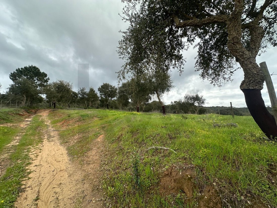 Farm Ranch in Vila Nova de Milfontes, Beja District, Portugal 1 - 17476817