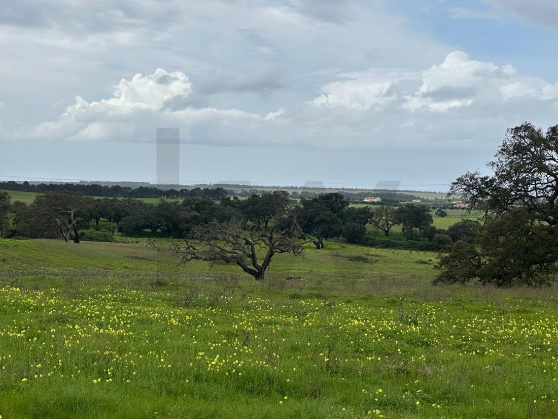 Farm Ranch in Vila Nova de Milfontes, Beja District, Portugal 2 - 17476817