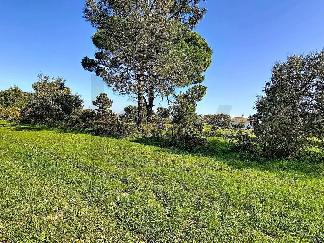 Land in Santiago, Setubal, Portugal 2 - 17469096