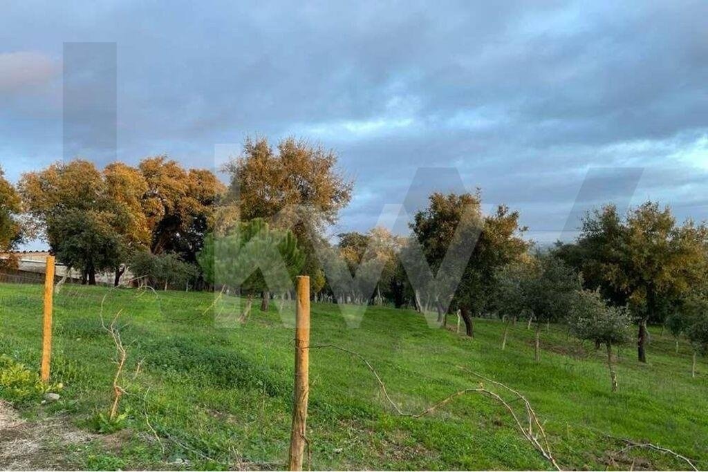 Land in Santiago do Cacem, Santa Cruz e Sao Bartolomeu da Serra, Setubal, Portugal 5 - 17476406