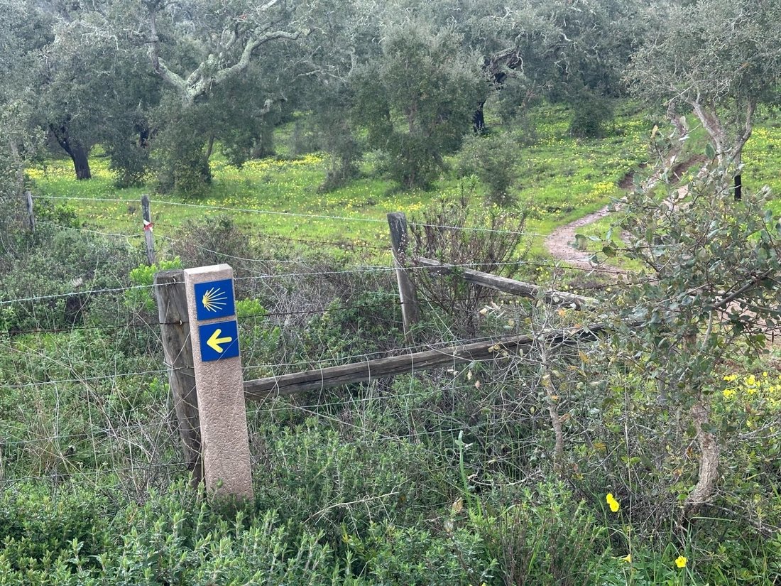 Farm Ranch in Vila Nova de Milfontes, Beja District, Portugal 4 - 17476817