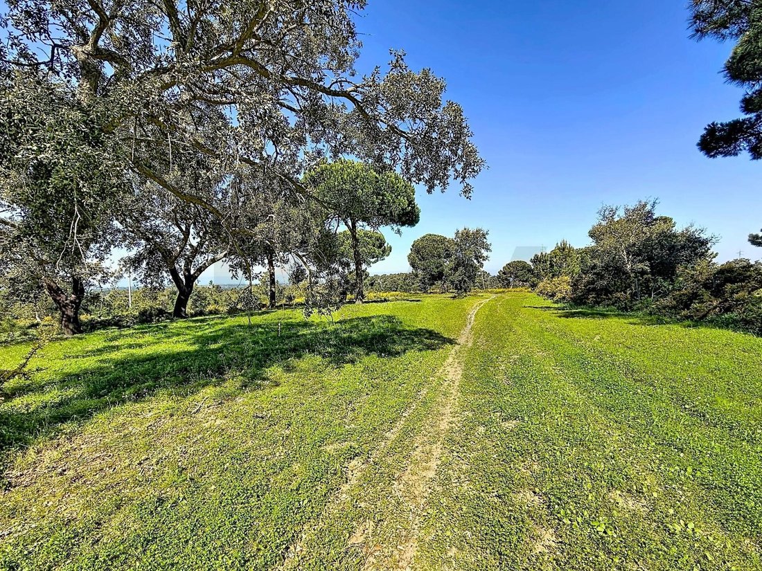 Land in Santiago, Setubal, Portugal 1 - 17469096