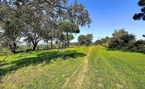Land in Santiago, Setubal, Portugal 1