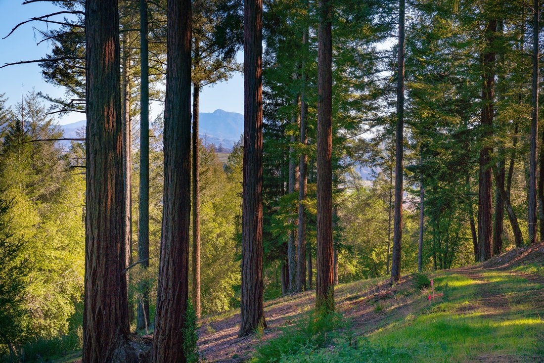Land in Healdsburg, California, United States 4 - 17476290