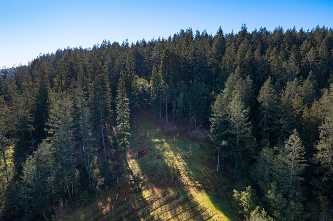 Land in Healdsburg, California, United States 5 - 17476290