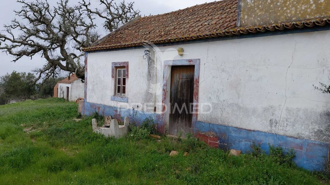 Farm Ranch in Sao Francisco da Serra, Setubal, Portugal 2 - 17476976