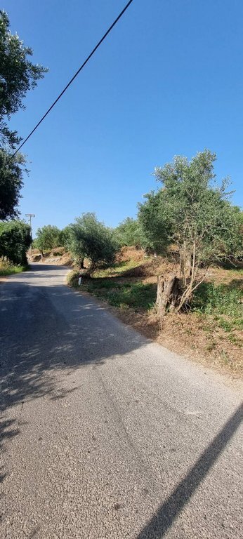 Land in Kassopaia, Peloponnese, Western Greece and the Ionian, Greece 5 - 17476549