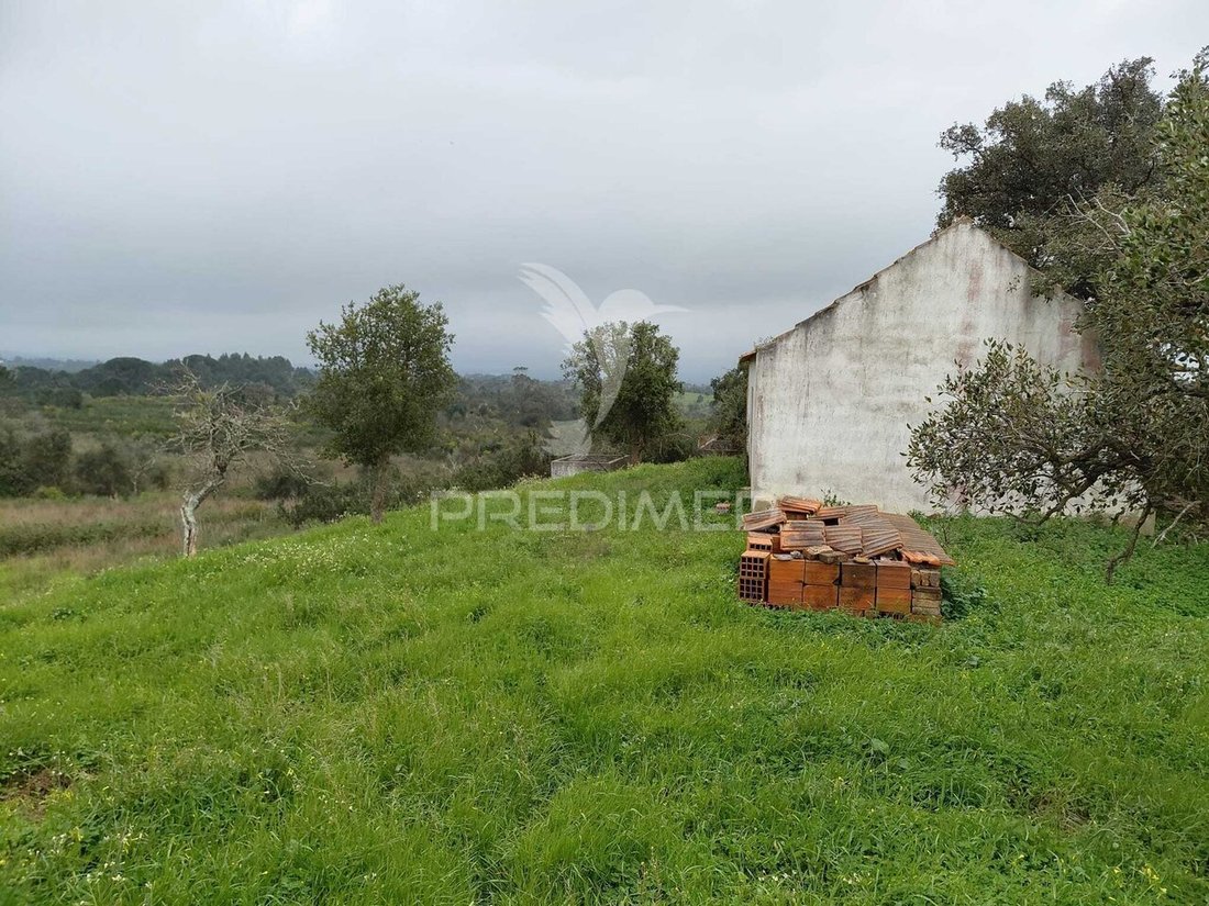 Farm Ranch in Sao Francisco da Serra, Setubal, Portugal 3 - 17476976