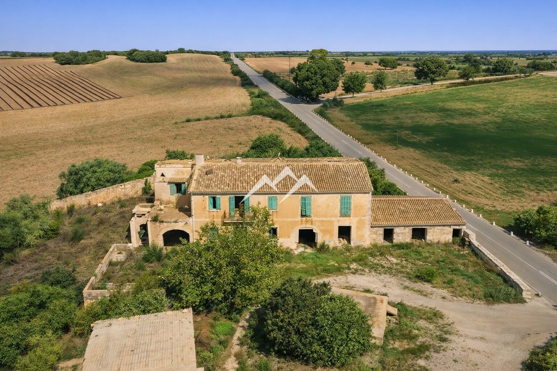 Finca in Manacor, Balearic Islands, Spain 1 - 16171791