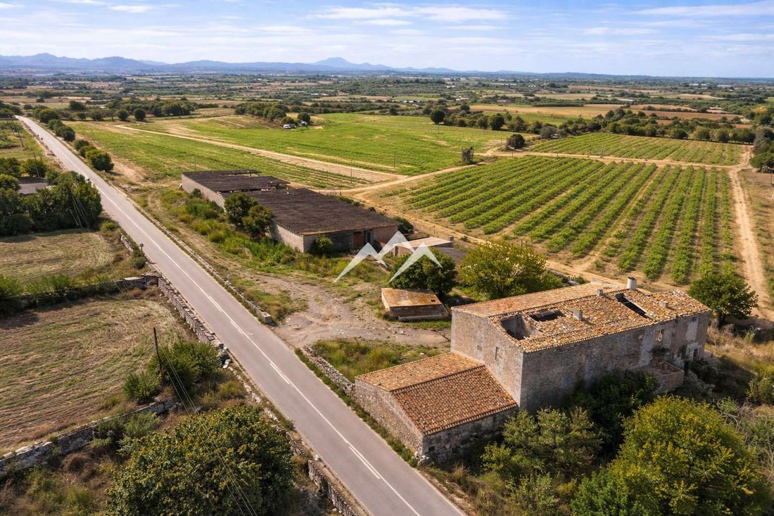 Finca in Manacor, Balearic Islands, Spain 4 - 16171791