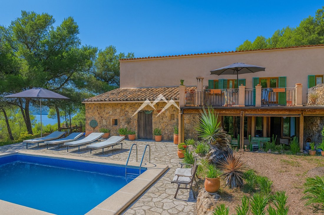 Finca in Port d'Andratx, Andratx, Balearic Islands 3 - 16734108