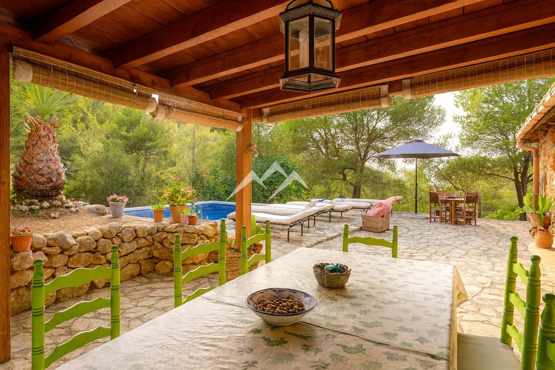 Finca in Port d'Andratx, Andratx, Balearic Islands 4 - 16734108