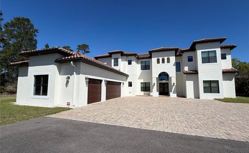 Haus in Sankt Cloud, Florida, Vereinigte Staaten 1