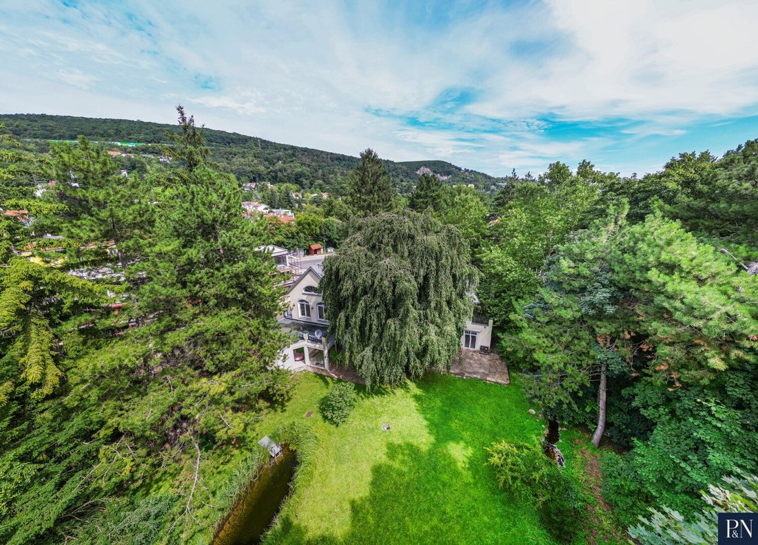 Villa in Hinterbrühl, Lower Austria, Austria 4 - 17219339