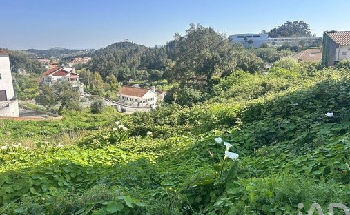 Land in Venda do Pinheiro e Santo Estevao das Gales, Lisbon, Portugal 1