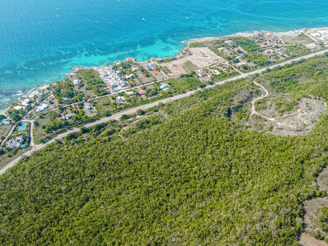 Land in Red Valley, Jamaica 4 - 17478327