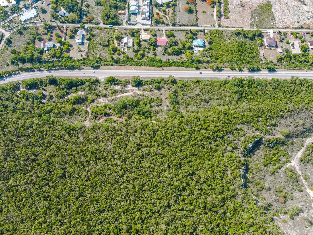 Land in Red Valley, Jamaica 1 - 17478327