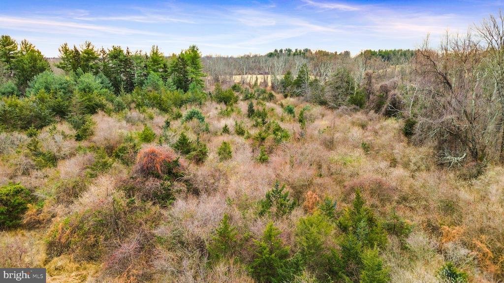 Land in FLEMINGTON, New Jersey, United States 4 - 17486531