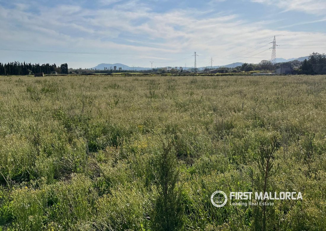 Land in Alcudia, Balearic Islands, Spain 3 - 17488563