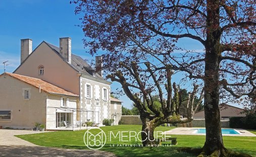 House in Nouaille-Maupertuis, Nouvelle-Aquitaine, France 1