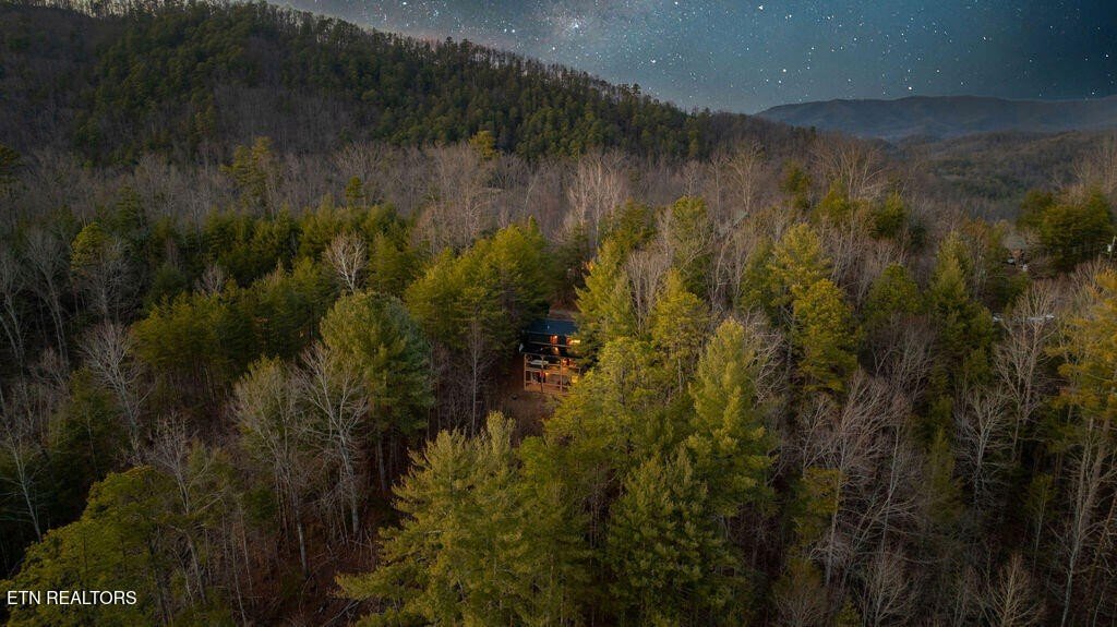 House in Sevierville, Tennessee, United States 4 - 17484859