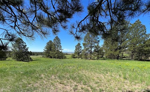 Terreno a Parker, Colorado, Stati Uniti 1