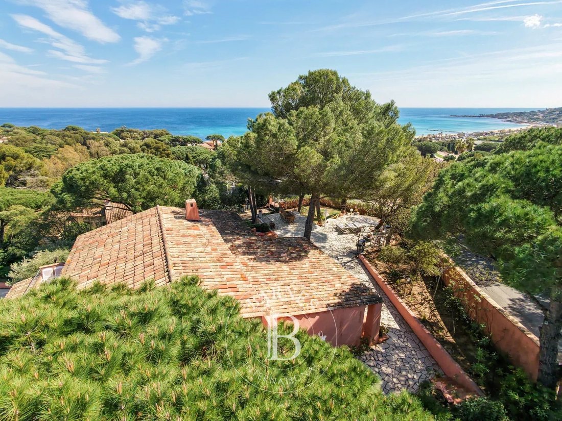 Villa in Nartelle-Noyer-Bellevue-bd des Sardinaux, Sainte-Maxime, France 2 - 16131144